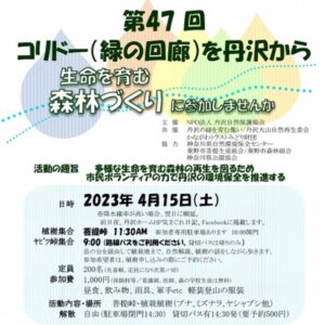 2023-04-15【植樹】第47回 コリドー(緑の回廊)を丹沢から