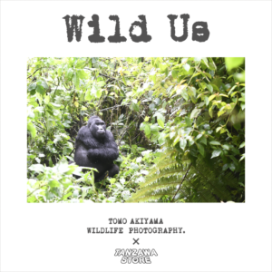 秋山知伸氏とのコラボレーションブランド "Wild Us"