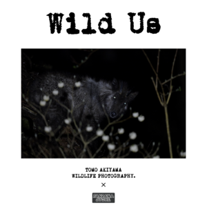 Wild Us. -August- 8月 新月の発売は 「カモシカ」